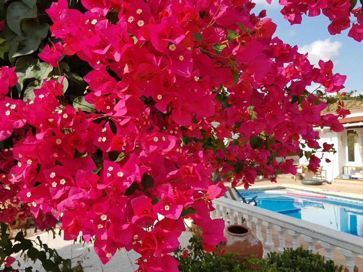 Villa Naranja Malaga - Oase Van Rust