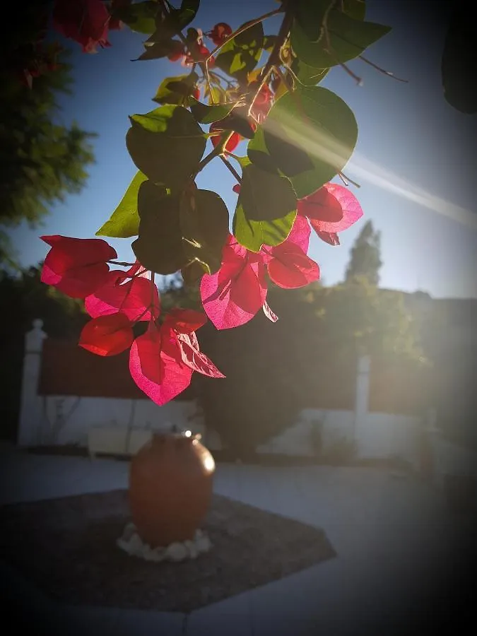 Villa Naranja Malaga - Oase Van Rust