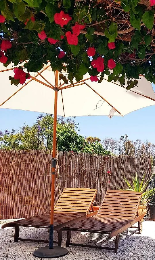 Villa Naranja Malaga - Oase Van Rust