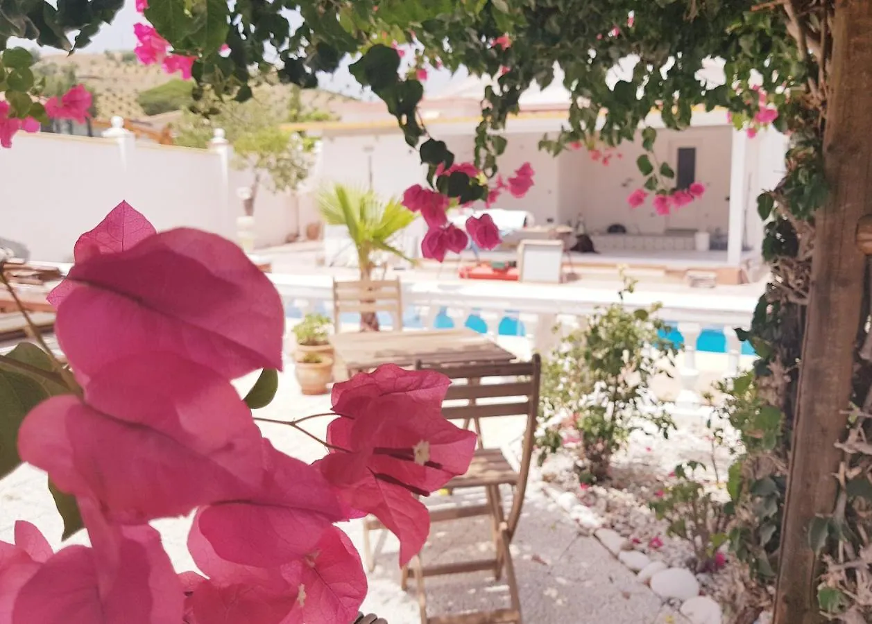 Villa Naranja Malaga - Oase Van Rust Spain